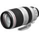 EF 100 - 400mm F4.5 - 5.6 L IS USM II