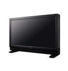 DP-V2410 Reference monitor