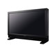 DP-V2410 Reference monitor